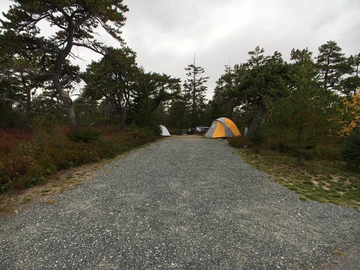 A photo of Site A24 of Loop A-Loop at Schoodic Woods Campground with Picnic Table, Electricity Hookup, Fire Pit