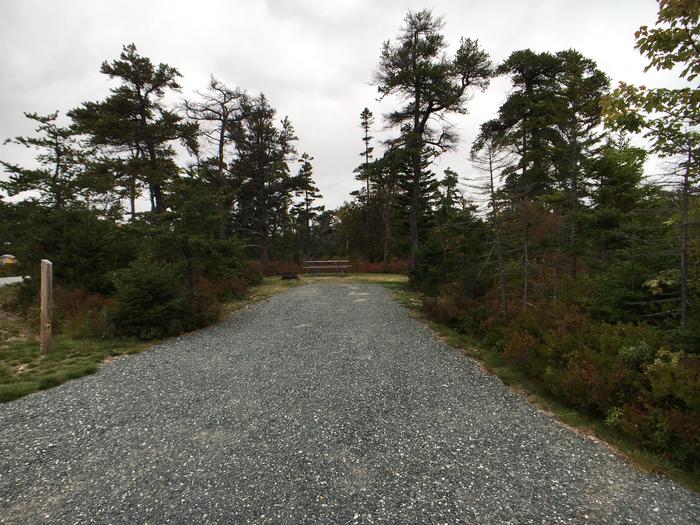 A photo of Site A26 of Loop A-Loop at Schoodic Woods Campground with Picnic Table, Electricity Hookup, Fire Pit