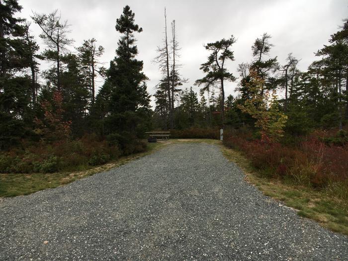A photo of Site A28 of Loop A-Loop at Schoodic Woods Campground with Picnic Table, Electricity Hookup, Fire Pit