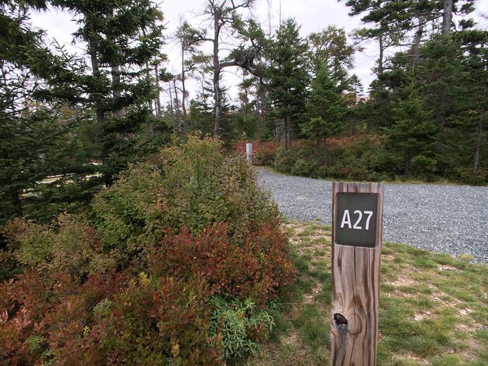 A photo of Site A27 of Loop A-Loop at Schoodic Woods Campground with Picnic Table, Electricity Hookup, Fire Pit