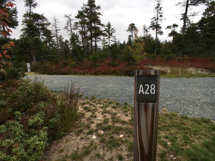 A photo of Site A28 of Loop A-Loop at Schoodic Woods Campground with Picnic Table, Electricity Hookup, Fire Pit