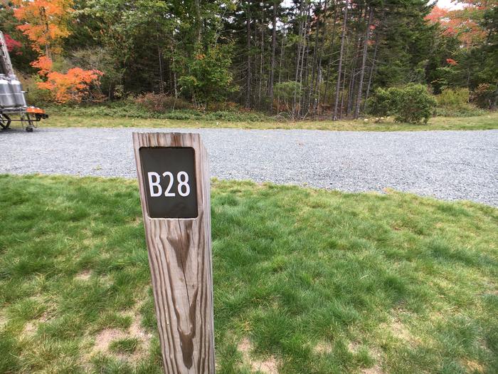A photo of Site B28 of Loop B-Loop at Schoodic Woods Campground with Picnic Table, Electricity Hookup, Fire Pit, Water Hookup