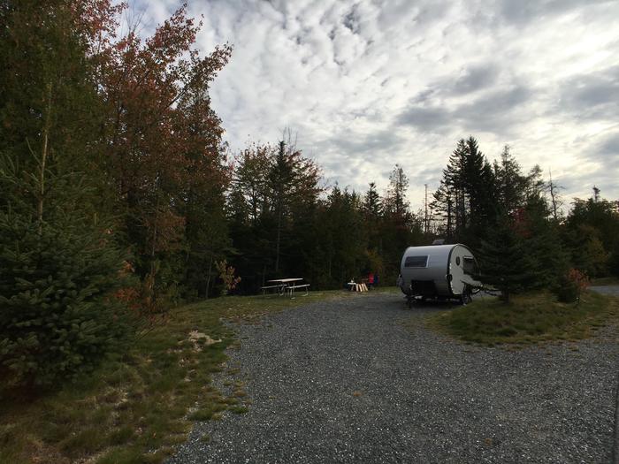 A photo of Site B04 of Loop B-Loop at Schoodic Woods Campground with Picnic Table, Electricity Hookup, Fire Pit, Water Hookup