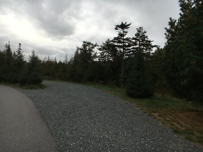 A photo of Site B31 of Loop B-Loop at Schoodic Woods Campground with Picnic Table, Electricity Hookup, Fire Pit, Water Hookup