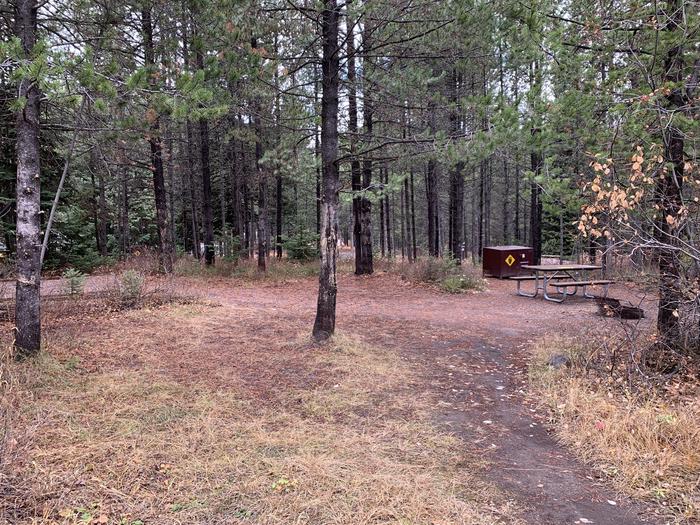 A photo of Site 23 of Loop 1 at Signal Mountain Lodge Campground with Picnic Table, Electricity Hookup, Fire Pit, Shade, Food Storage, Tent Pad