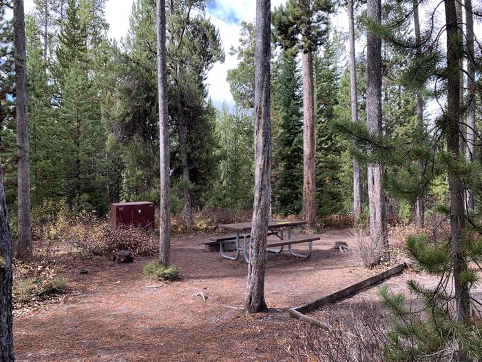 A photo of Site 16 of Loop 1 at Signal Mountain Lodge Campground with Picnic Table, Fire Pit, Shade, Food Storage, Tent Pad