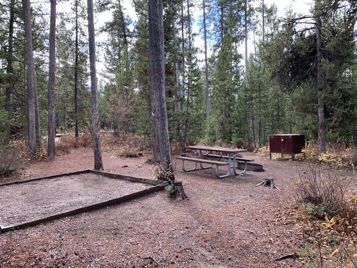 A photo of Site 16 of Loop 1 at Signal Mountain Lodge Campground with Picnic Table, Fire Pit, Shade, Food Storage, Tent Pad