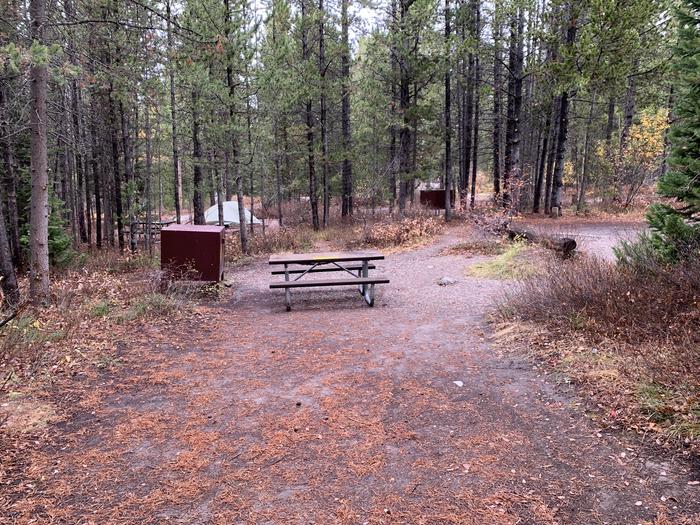A photo of Site 21 of Loop 1 at Signal Mountain Lodge Campground with Picnic Table, Fire Pit, Shade, Food Storage