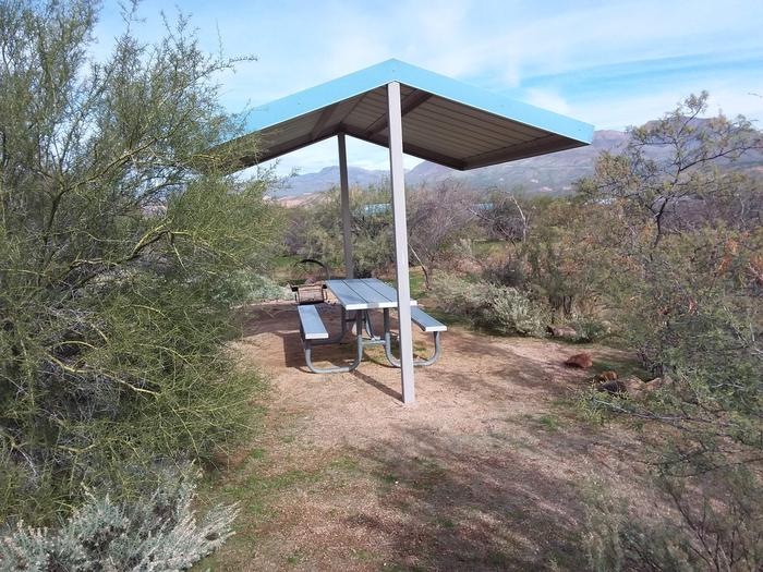 Site 187Cholla Campground
