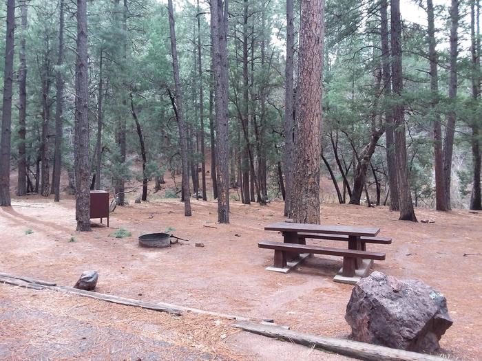 Christopher Creek Campground site #13 featuring wooded camping space, picnic area, and fire pit.Christopher Creek Campground site #13 featuring wooded camping space, picnic area, and fire pit 