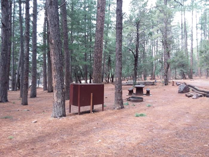 Christopher Creek Campground site #13 featuring wooded camping space, picnic area, and fire pit.Christopher Creek Campground site #13 featuring wooded camping space, picnic area, and fire pit 