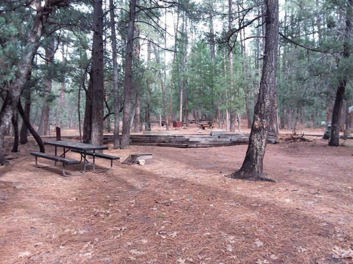 Christopher Creek Campground site #14 featuring wooded camping space, picnic area, and fire pit.