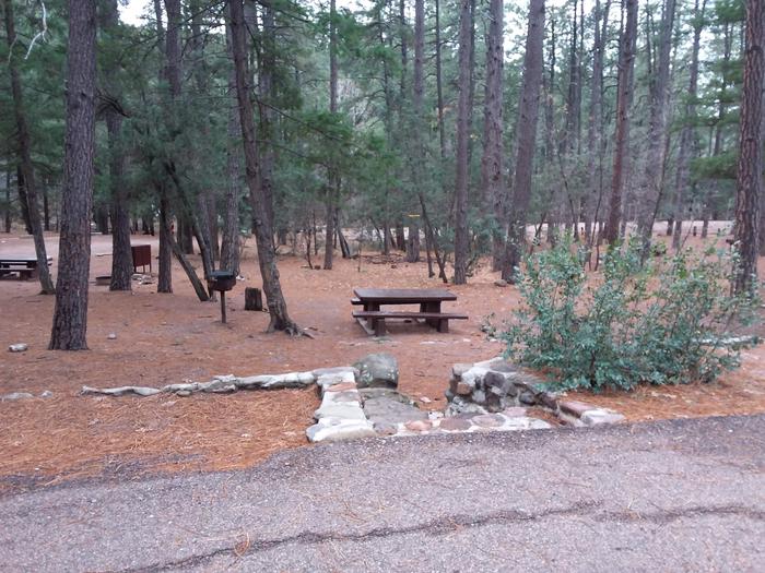 Christopher Creek Campground Site #1 featuring entrance to the wooded site, picnic table, and fire pit. 