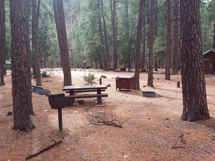 Christopher Creek Campground Site #12 featuring entrance to the wooded site and picnic table