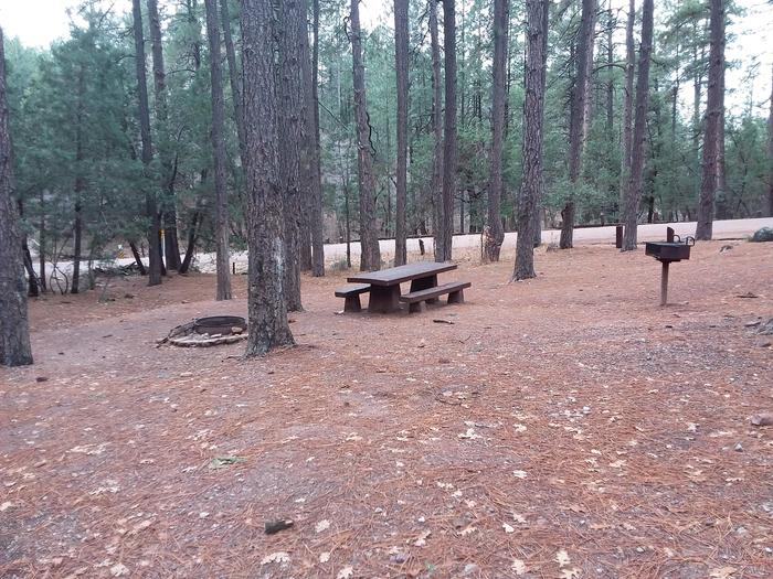 Christopher Creek Campground Site #16 featuring entrance to the wooded site and camping space.
