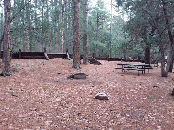Christopher Creek Campground Site #17 featuring entrance to the wooded site and camping space.