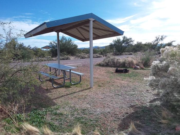 Site 66 with a picnic table, fire ring, shade structure, and parking.