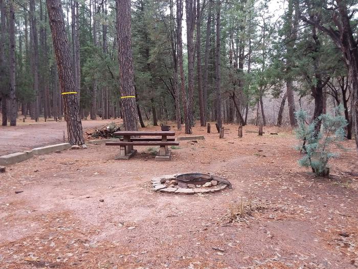 Christopher Creek Campground Site #25 featuring entrance to the wooded site and camping space.