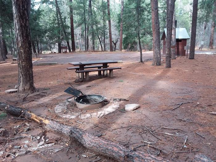 Christopher Creek Campground Site #29 featuring entrance to the wooded site and camping space.