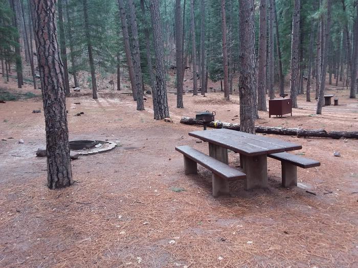 Campsite #31 with a table and campfire ring in a wooded area