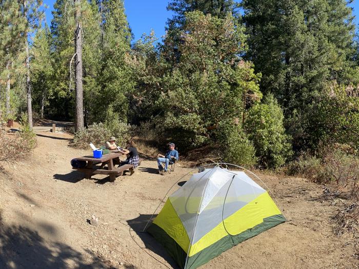Shirttail Creek CampgroundCampsite 1