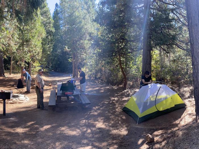 Shirttail Creek Campground Campsite 2