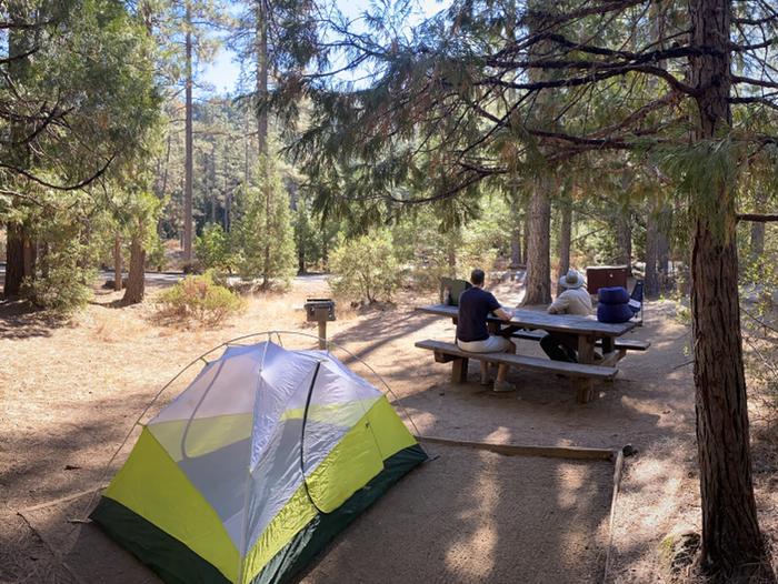 Shirttail Creek Campground Campsite 4
