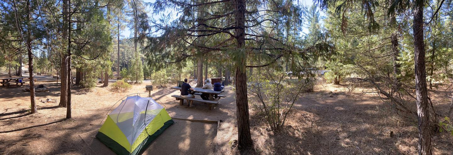 Shirttail Creek Campsite 4