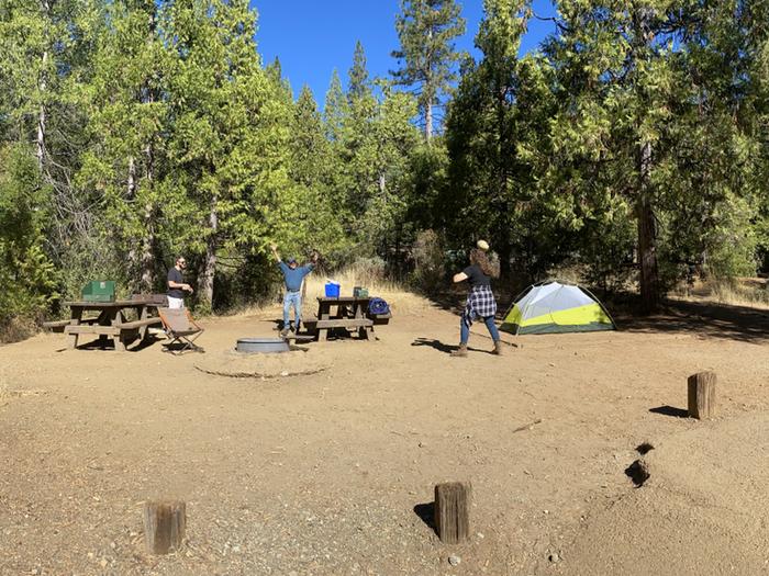 Shirttail Creek Campground Campsite 3