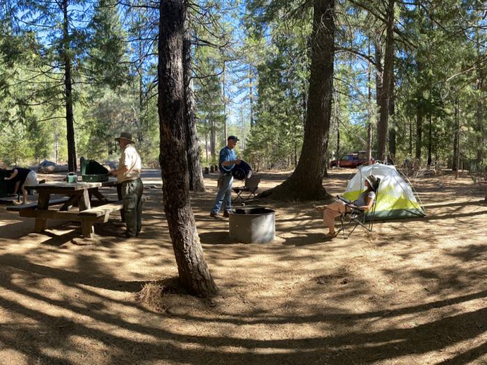 Shirttail Creek CampgroundCampsite 5