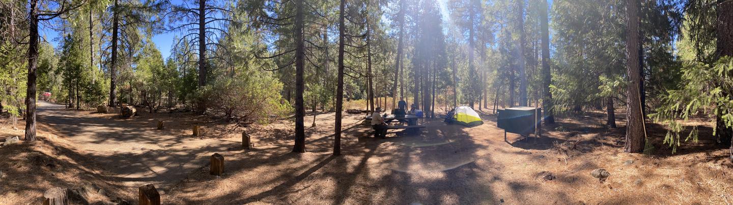 Shirttail Creek Campsite 6