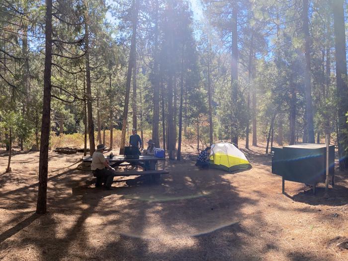 Shirttail Creek Campground Campsite 6