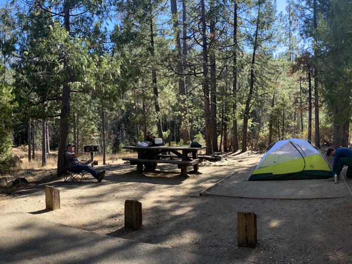 Shirttail Creek Campground Campsite 7