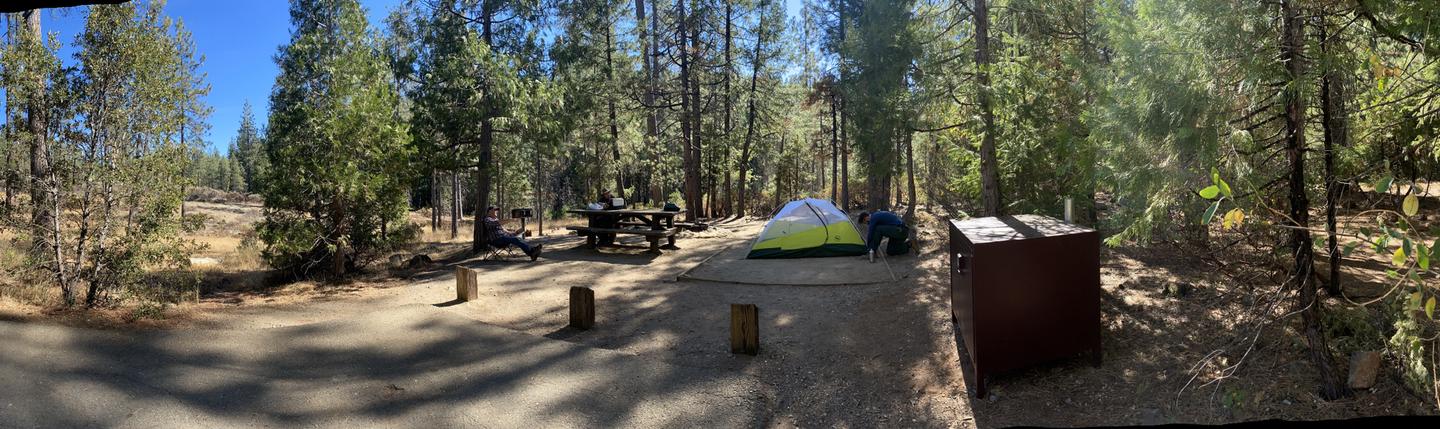 Shirttail Creek Campsite 7