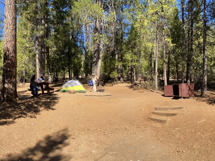 Shirttail Creek Campground Campsite 9