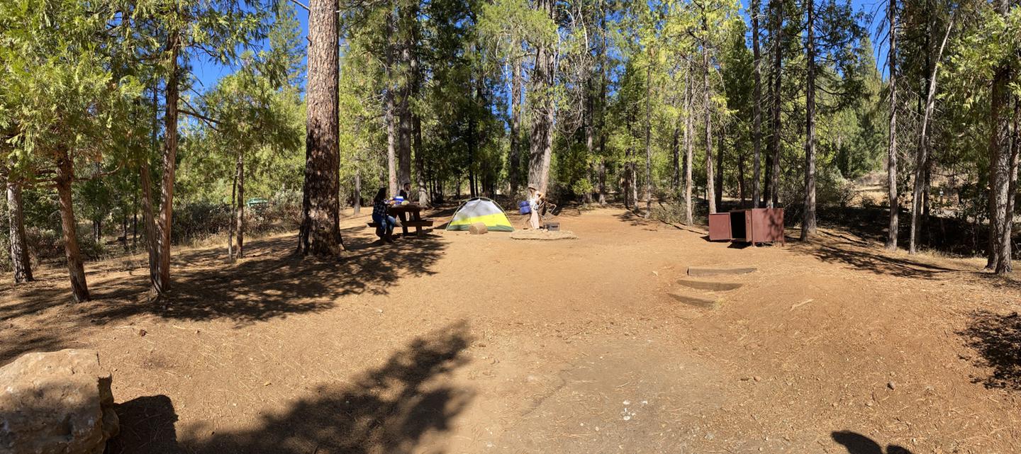 Shirttail Creek Campsite 9
