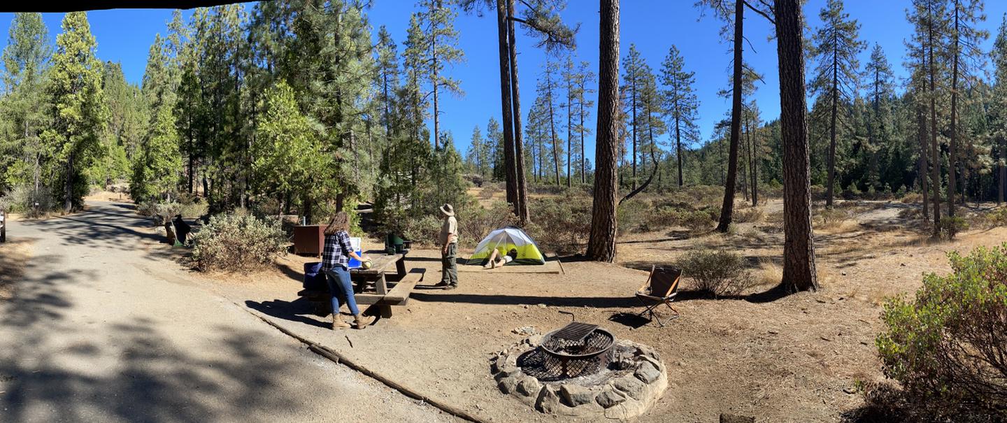 Shirttail Creek Campsite 10