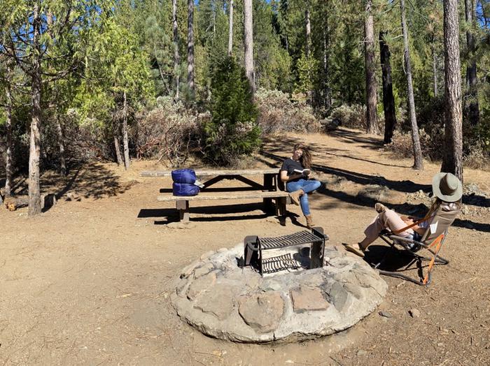 Shirttail Creek Campground Campsite 11