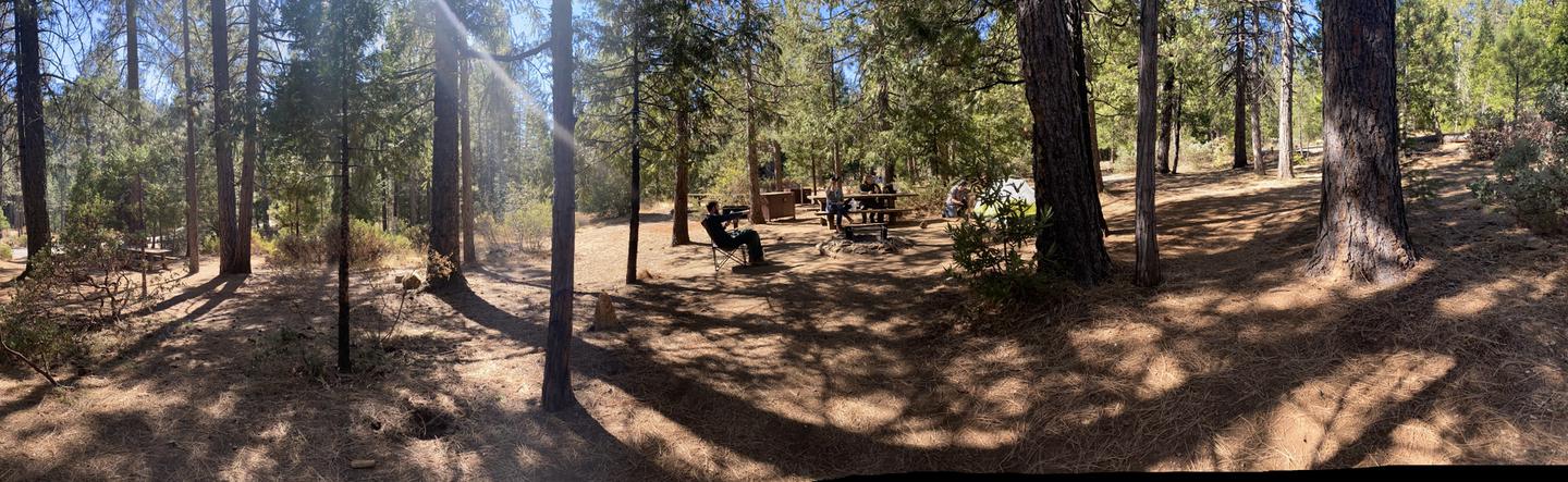 Shirttail Creek Campsite 12