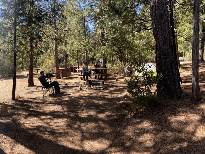 Shirttail Creek Campground Campsite 12