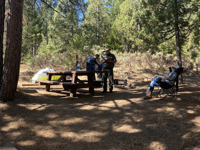 Shirttail Creek Campground Campsite 16 