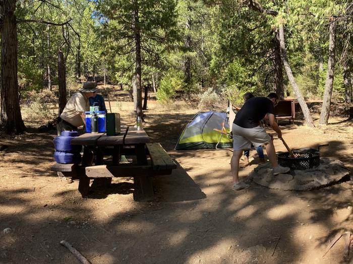 Shirttail Creek Campground Campsite 17