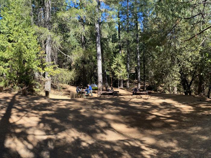 Shirttail Creek Campground Campsite 20 