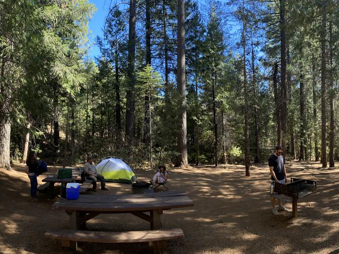 Shirttail Creek CampgroundCampsite 22