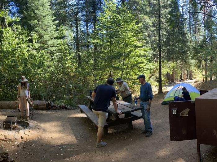 Shirttail Creek Campground Campsite 23