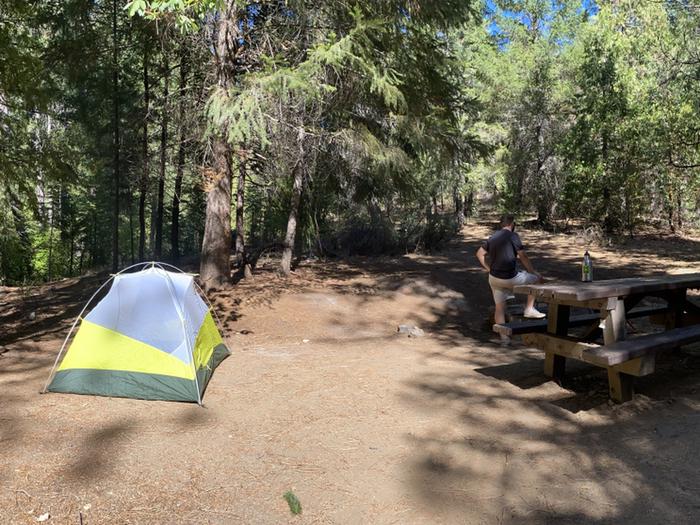 Shirttail Creek Campground Campsite 24