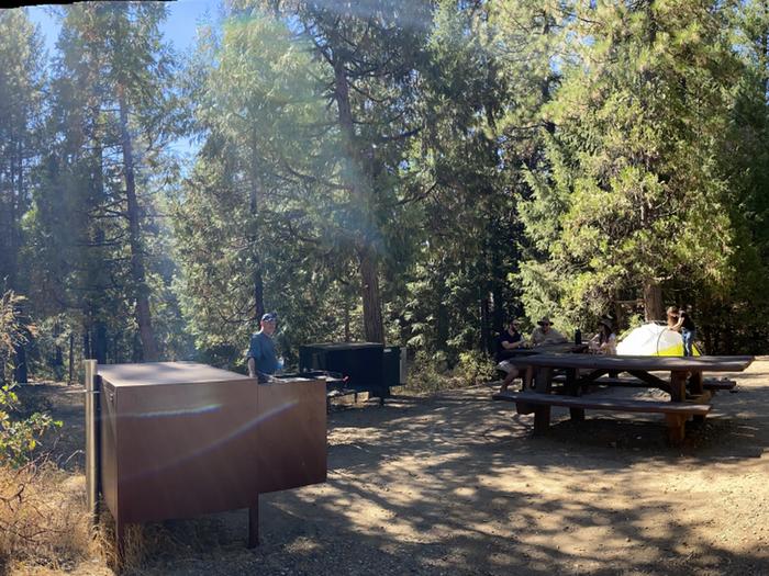 Shirttail Creek CampgroundCampsite 25