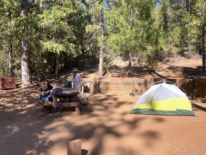 Shirttail Creek CampgroundCampsite 26