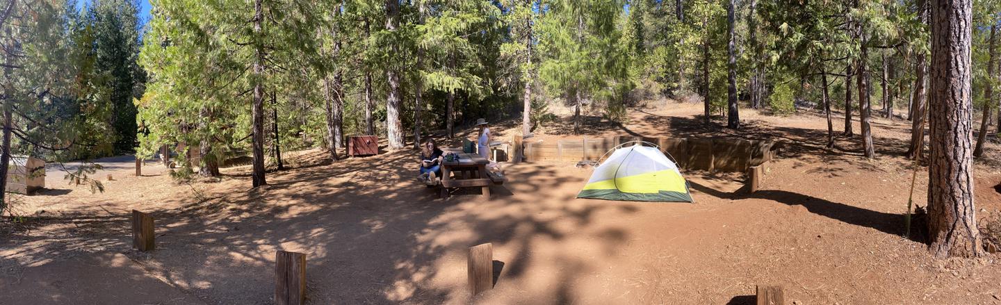 Shirttail Creek Campsite 26