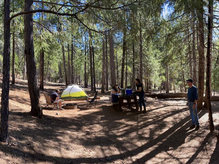 Shirttail Creek Campground Campsite 28